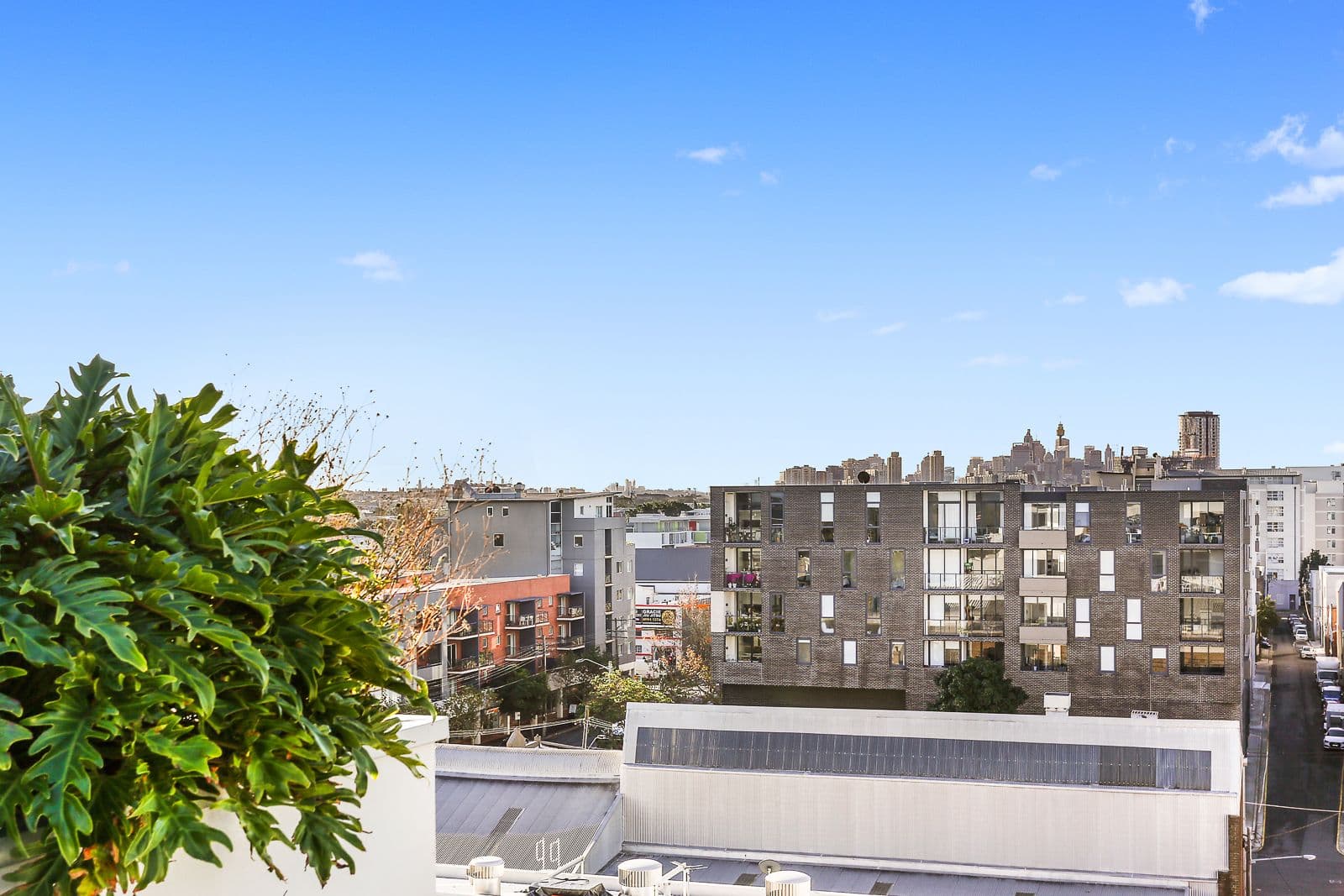 791 Botany Road, Rosebery NSW 2018, Rosebery - Thumbnail 4