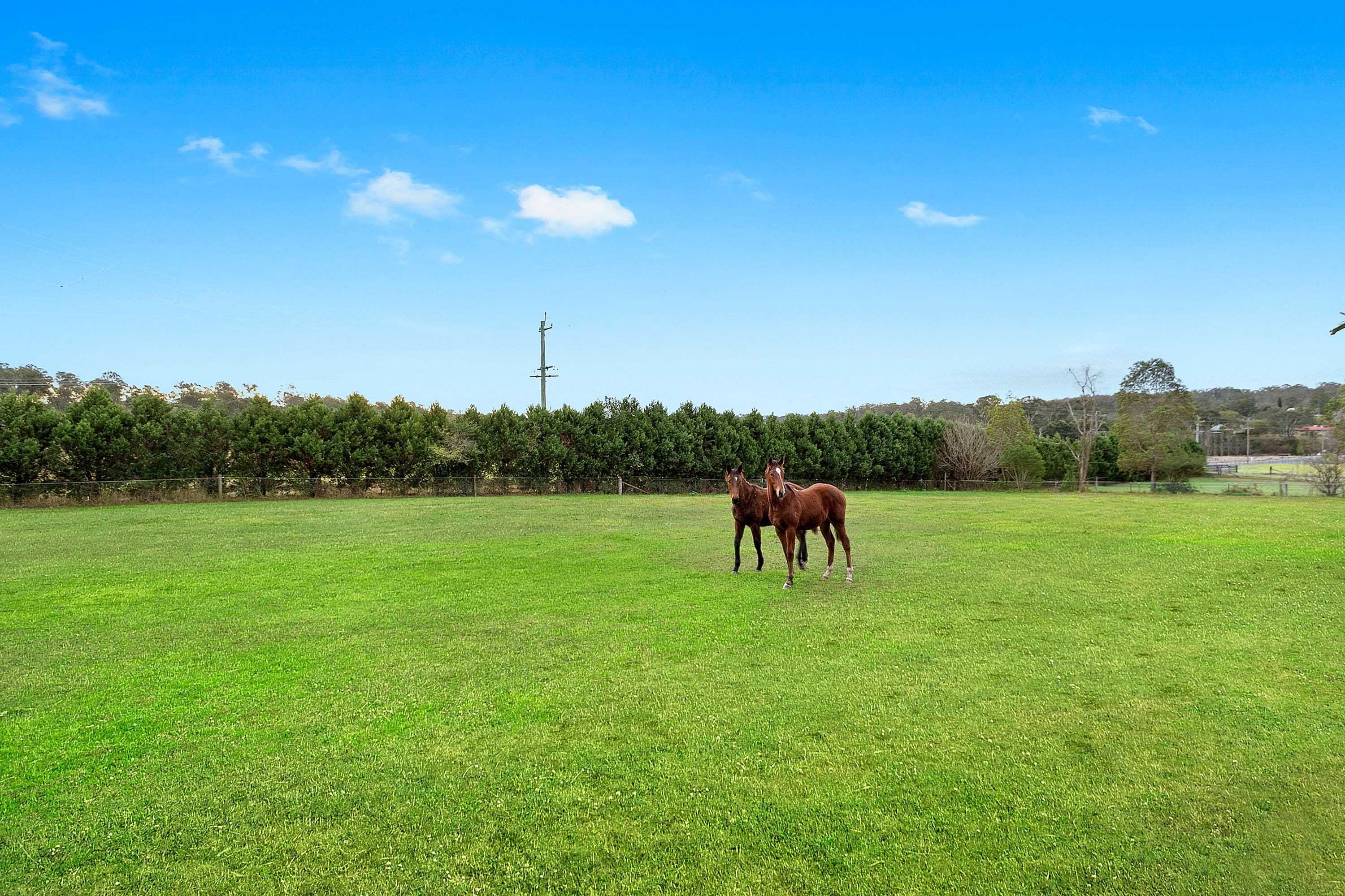 82 Terrace Road, North Richmond - Image 1