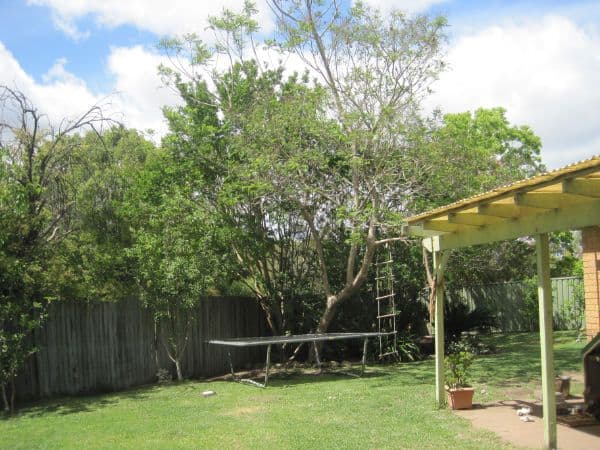 9 Unwin Close, NARARA NSW 2250, Narara - Thumbnail 8