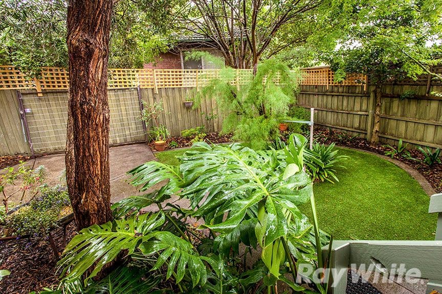 356 Mitcham Road, Mitcham VIC 3132, Mitcham - Thumbnail 8
