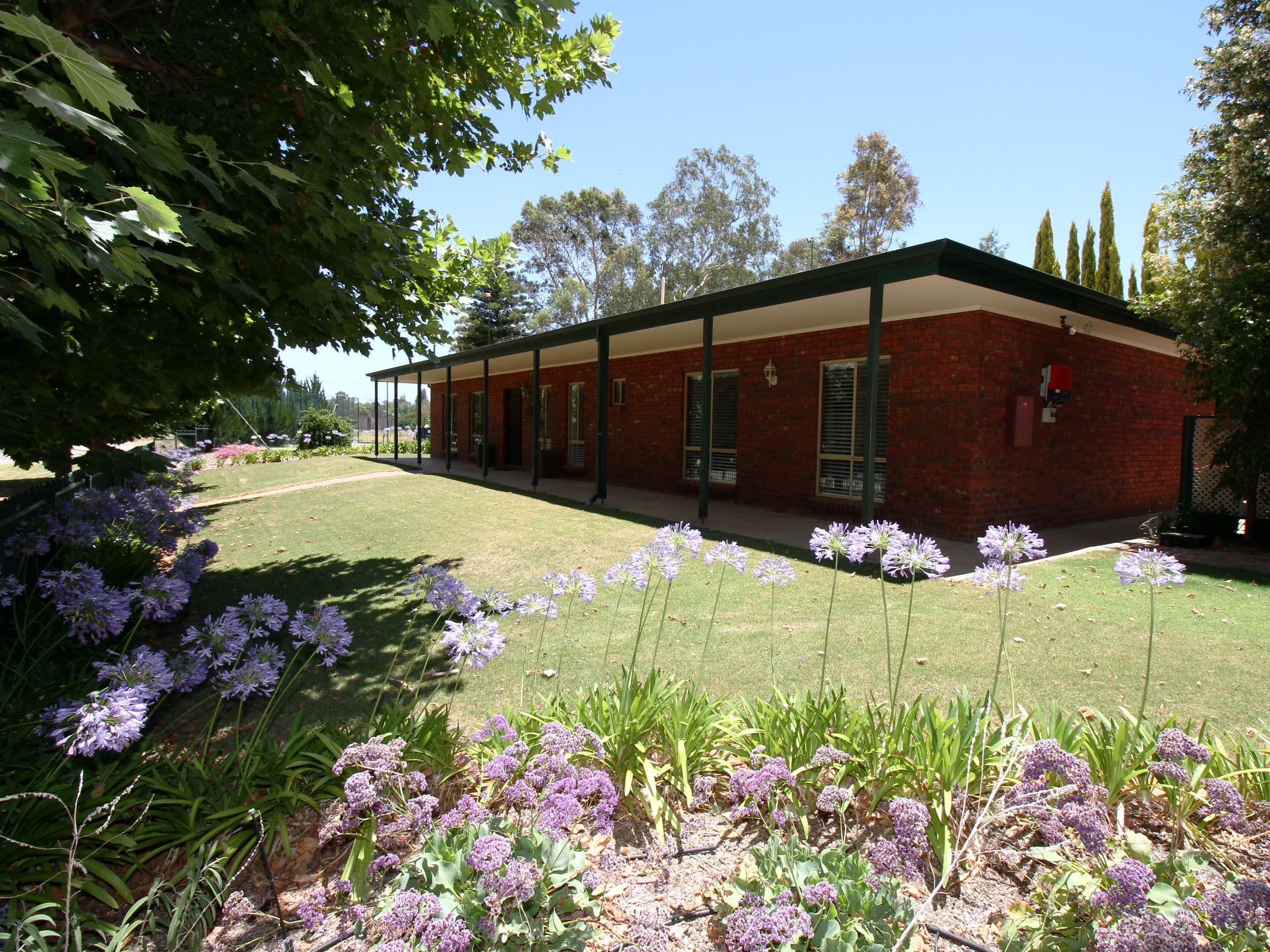 16 Foreman Road, Berri SA 5343, Berri - Image 1