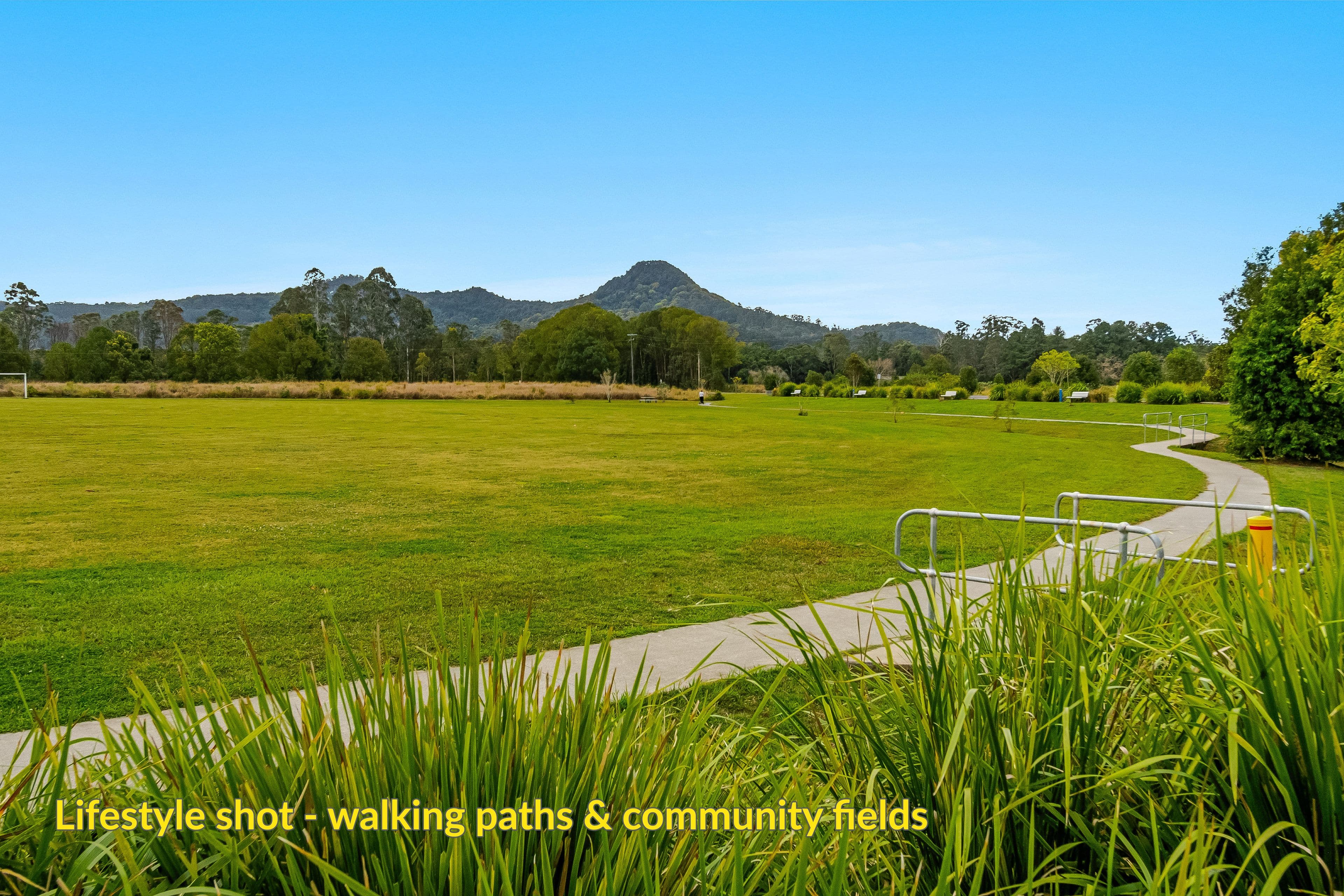 Lot 202 Tuckeroo Avenue, Mullumbimby NSW 2482, Mullumbimby - Thumbnail 5