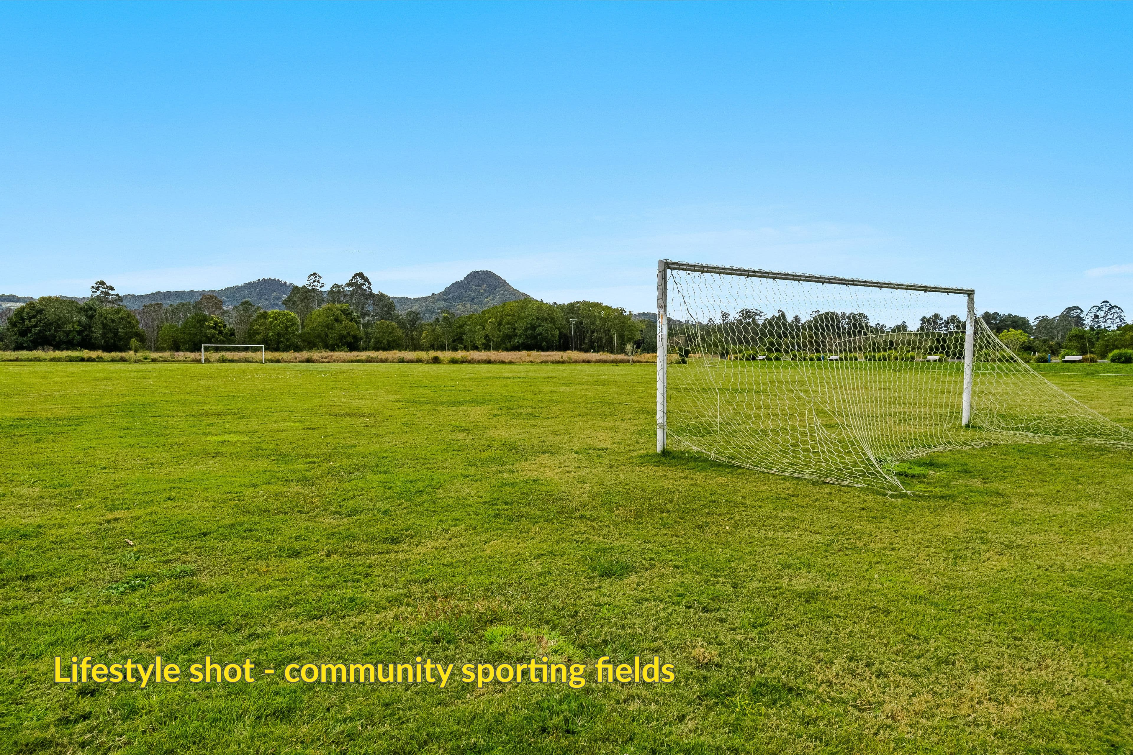 Lot 202 Tuckeroo Avenue, Mullumbimby NSW 2482, Mullumbimby - Thumbnail 6