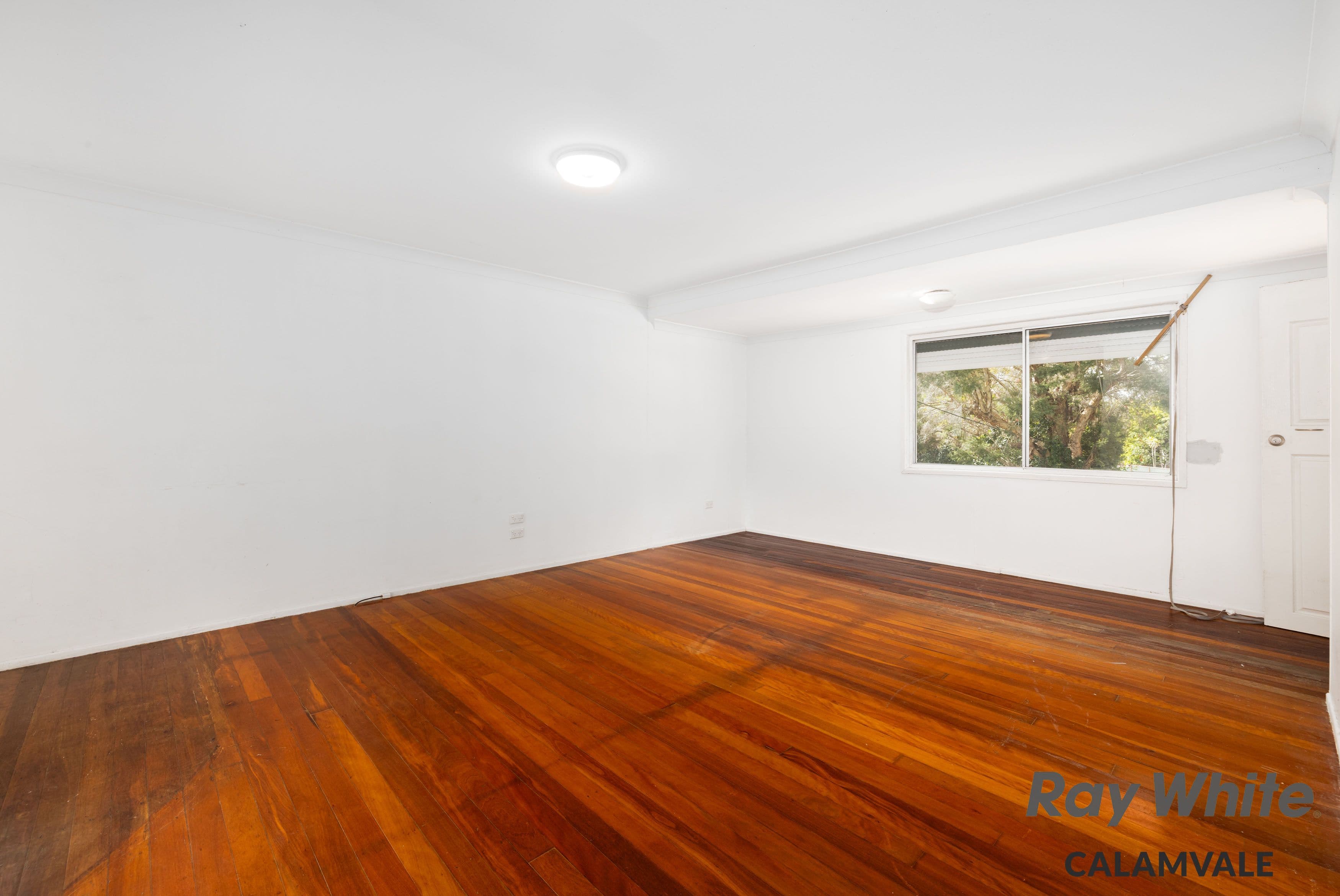 5 Dubhe Court, Kingston QLD 4114, Kingston - Thumbnail 4