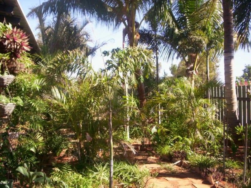 19 MAUGER Place, SOUTH HEDLAND WA 6722, South Hedland - Thumbnail 4