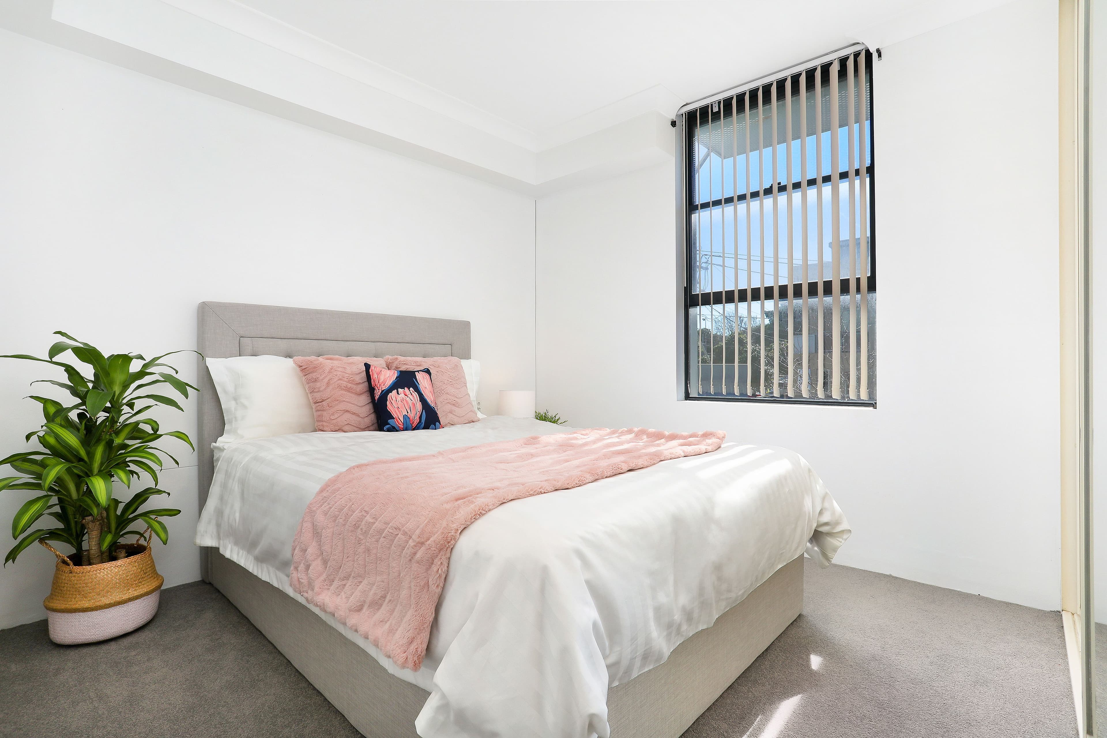 161 Queen Street, Beaconsfield NSW 2015, Beaconsfield - Thumbnail 6
