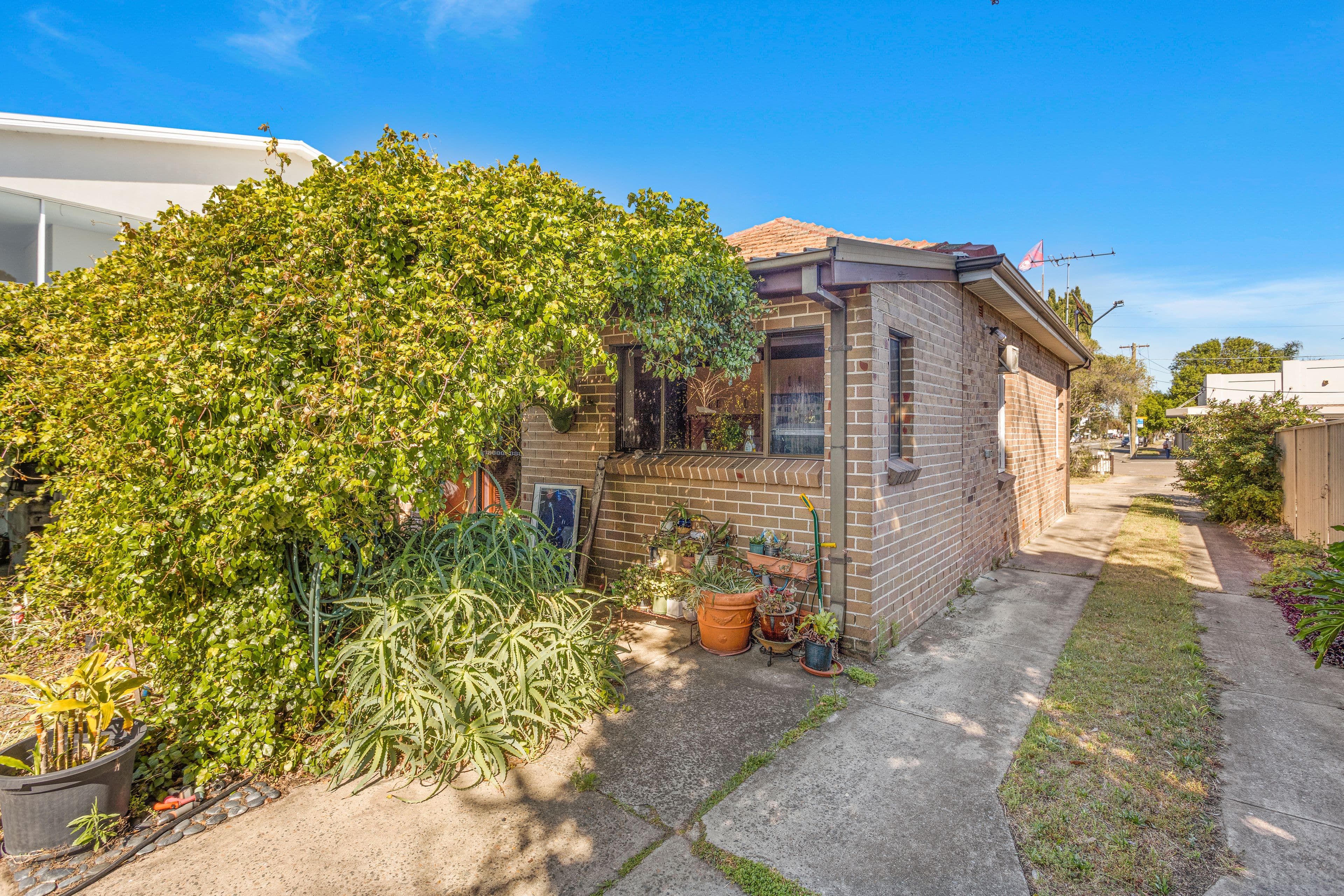 17 Napoleon Street, Sans Souci NSW 2219, Sans Souci - Thumbnail 6