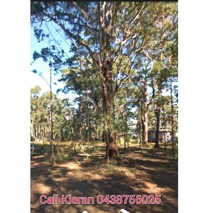 34 Ilumba Street, Russell Island QLD 4184, Russell Island - Thumbnail 3