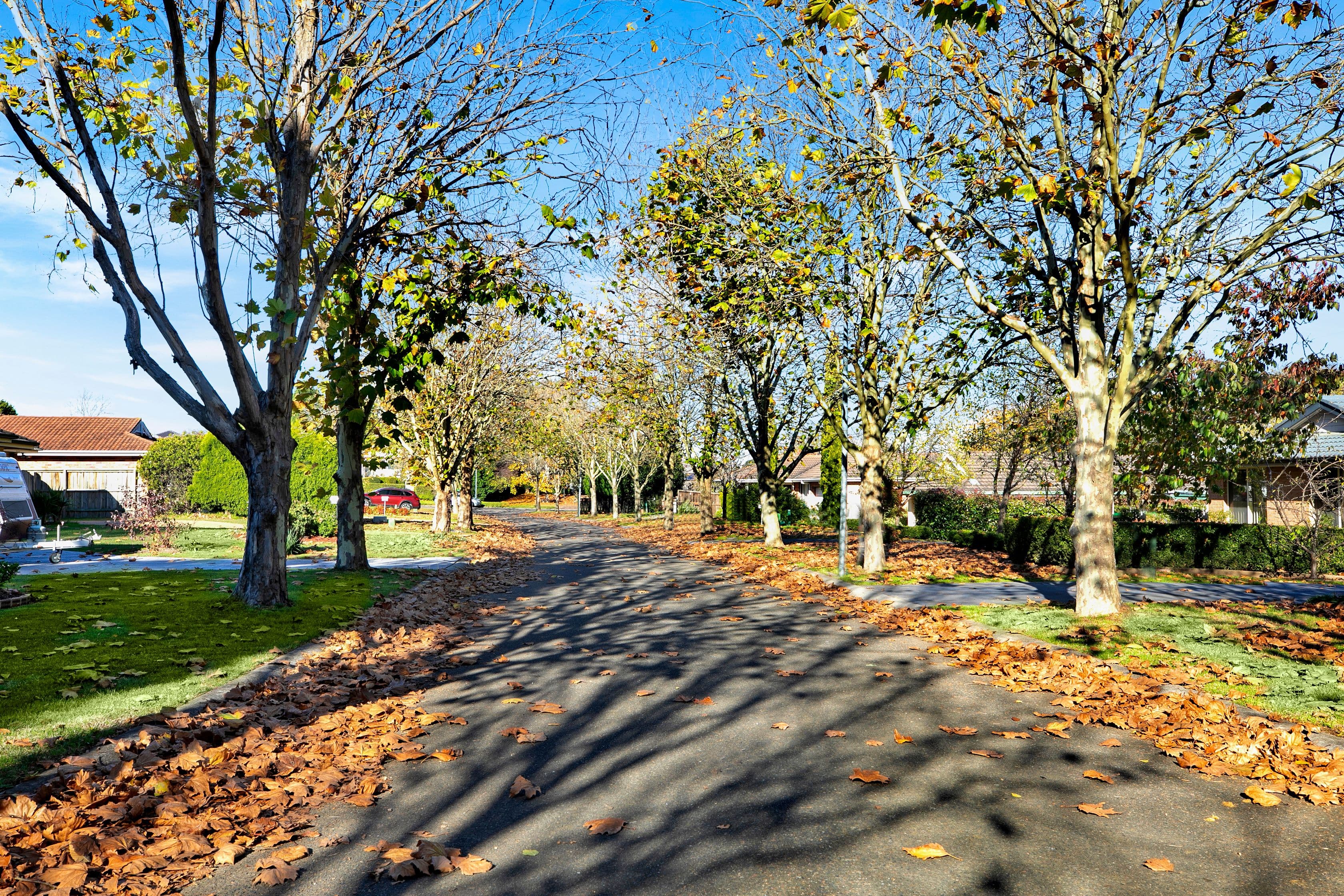 11 Plane Tree Close, Bowral NSW 2576, Bowral - Thumbnail 6