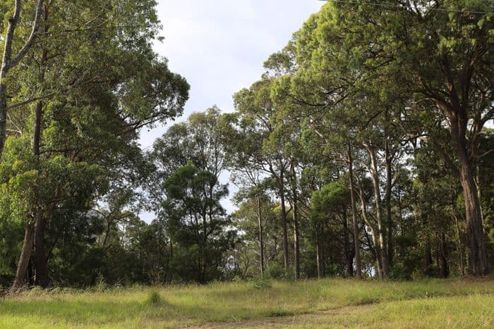 Lot 13 Woodlands Drive, NAROOMA NSW 2546, Narooma - Thumbnail 4