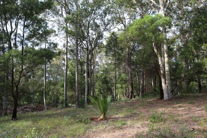 Lot 13 Woodlands Drive, NAROOMA NSW 2546, Narooma - Thumbnail 5
