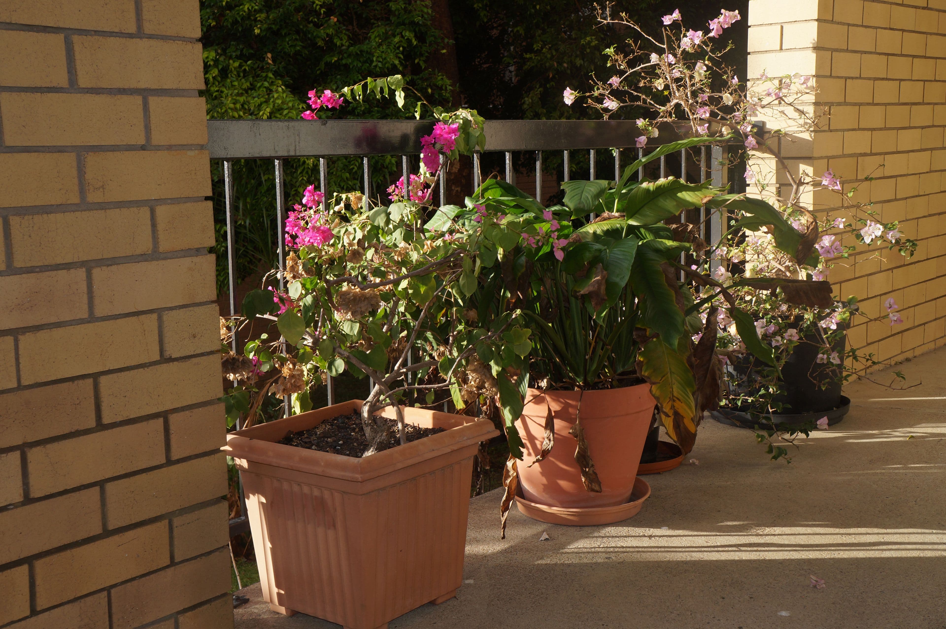 34 Oliver Street, Nundah QLD 4012, Nundah - Thumbnail 7