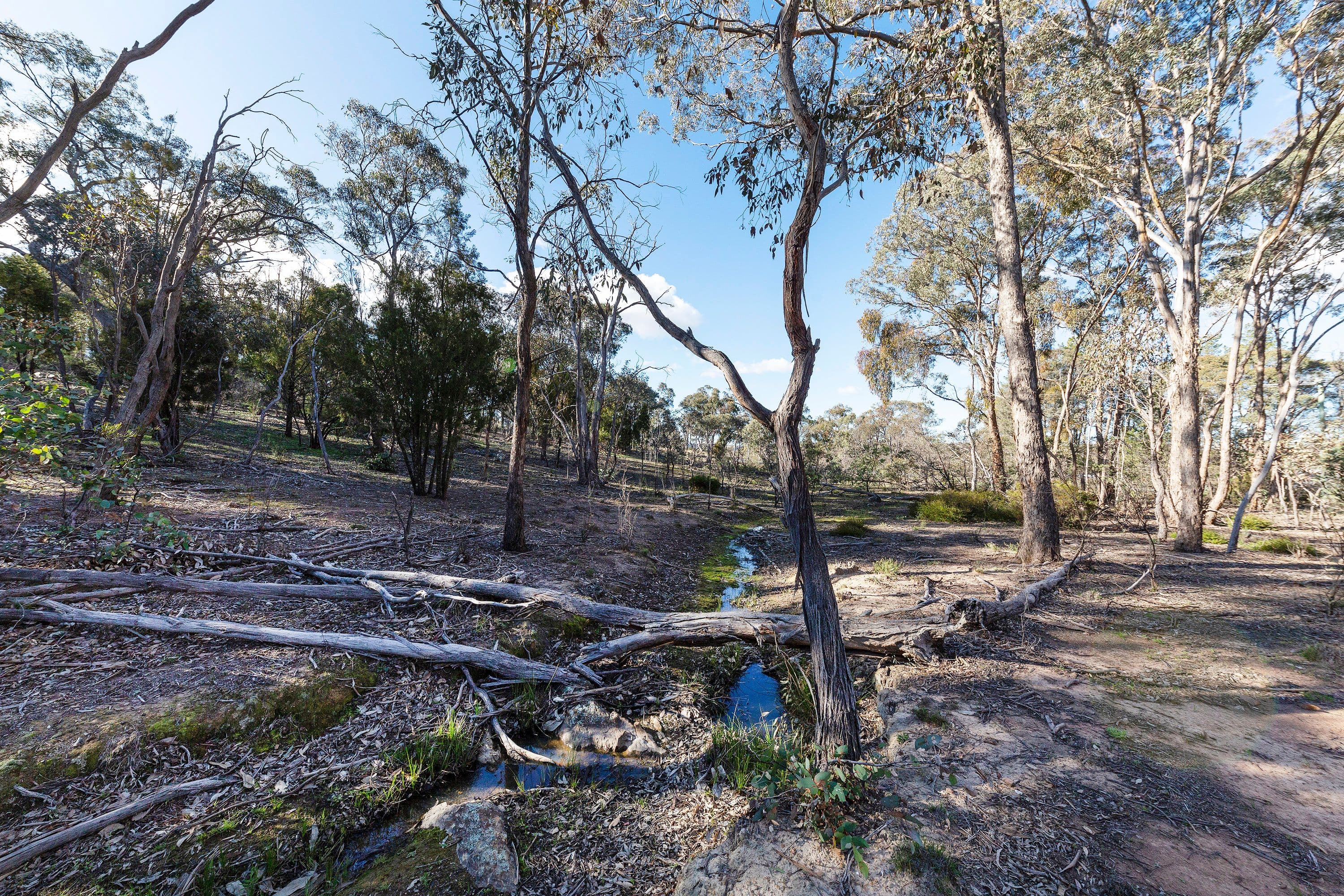 8 Campbell Place, WAMBOIN NSW 2620, Wamboin - Thumbnail 3