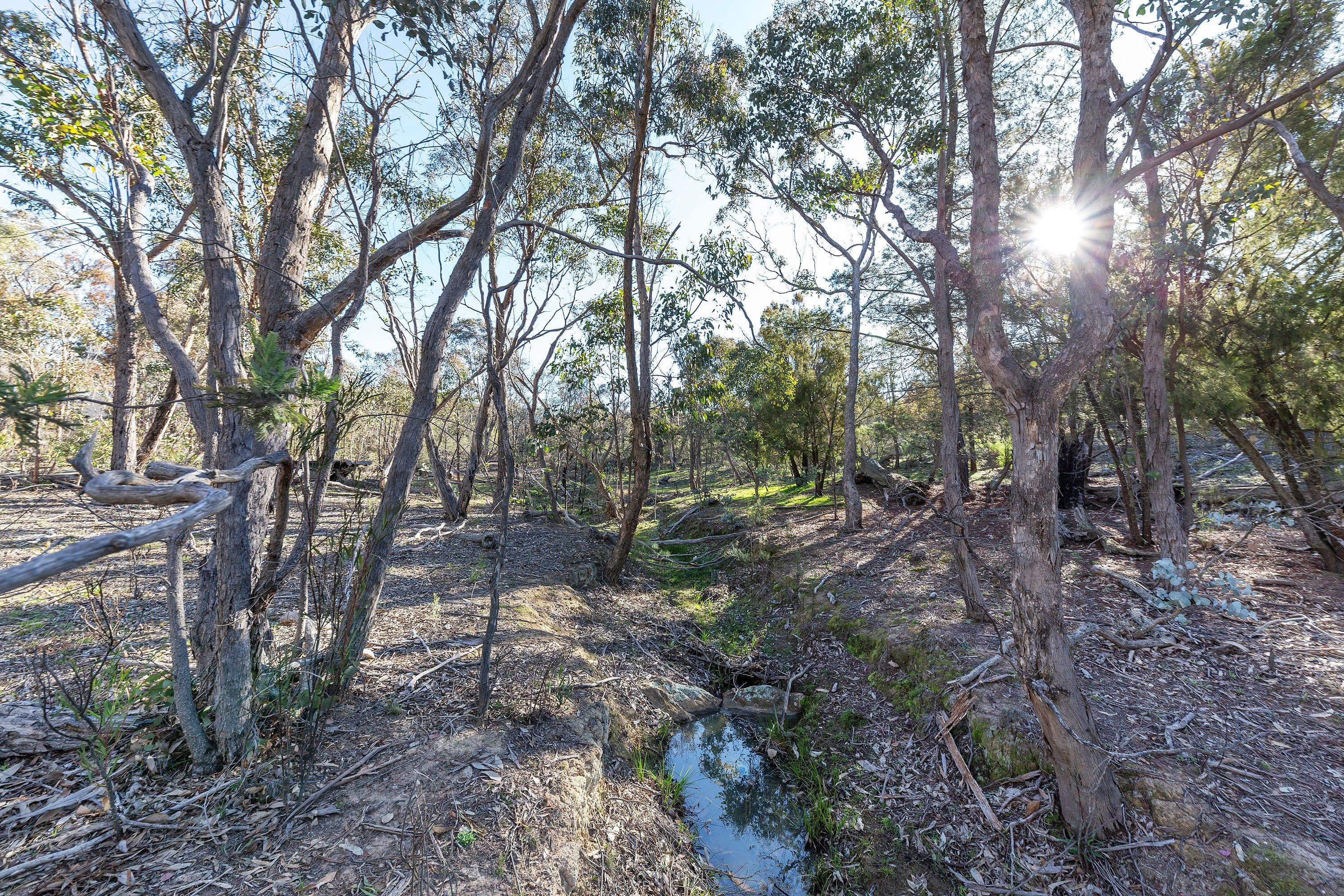 8 Campbell Place, WAMBOIN NSW 2620, Wamboin - Thumbnail 4