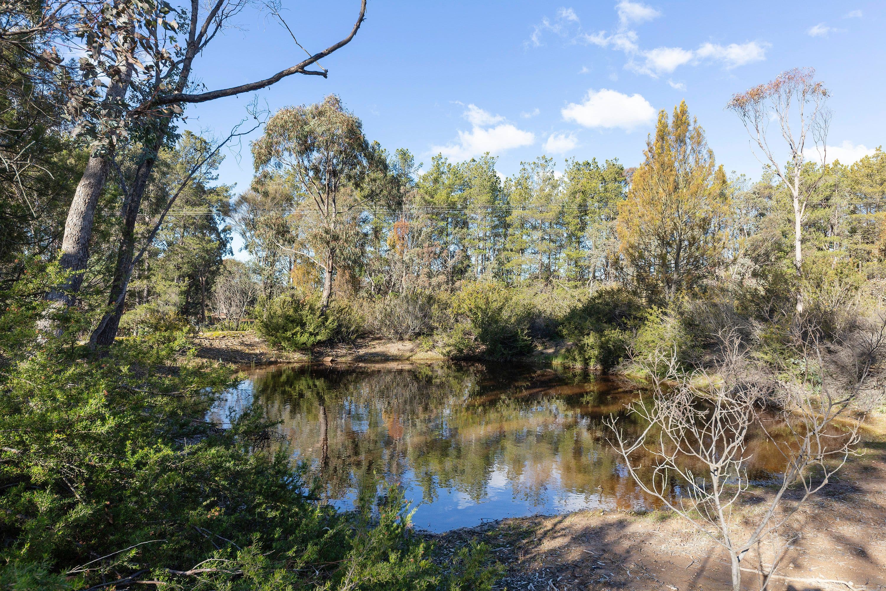 8 Campbell Place, WAMBOIN NSW 2620, Wamboin - Thumbnail 5