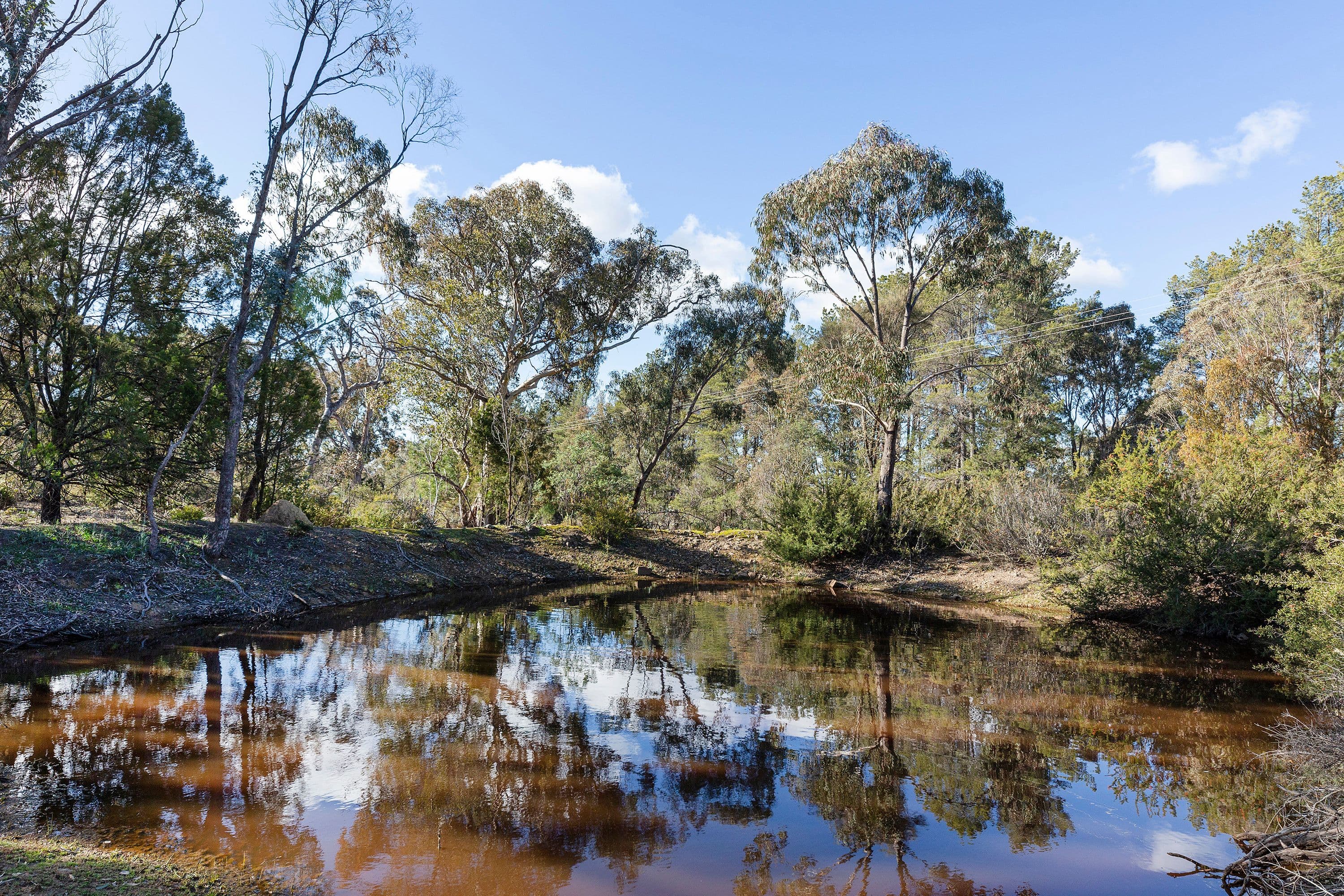8 Campbell Place, WAMBOIN NSW 2620, Wamboin - Thumbnail 6
