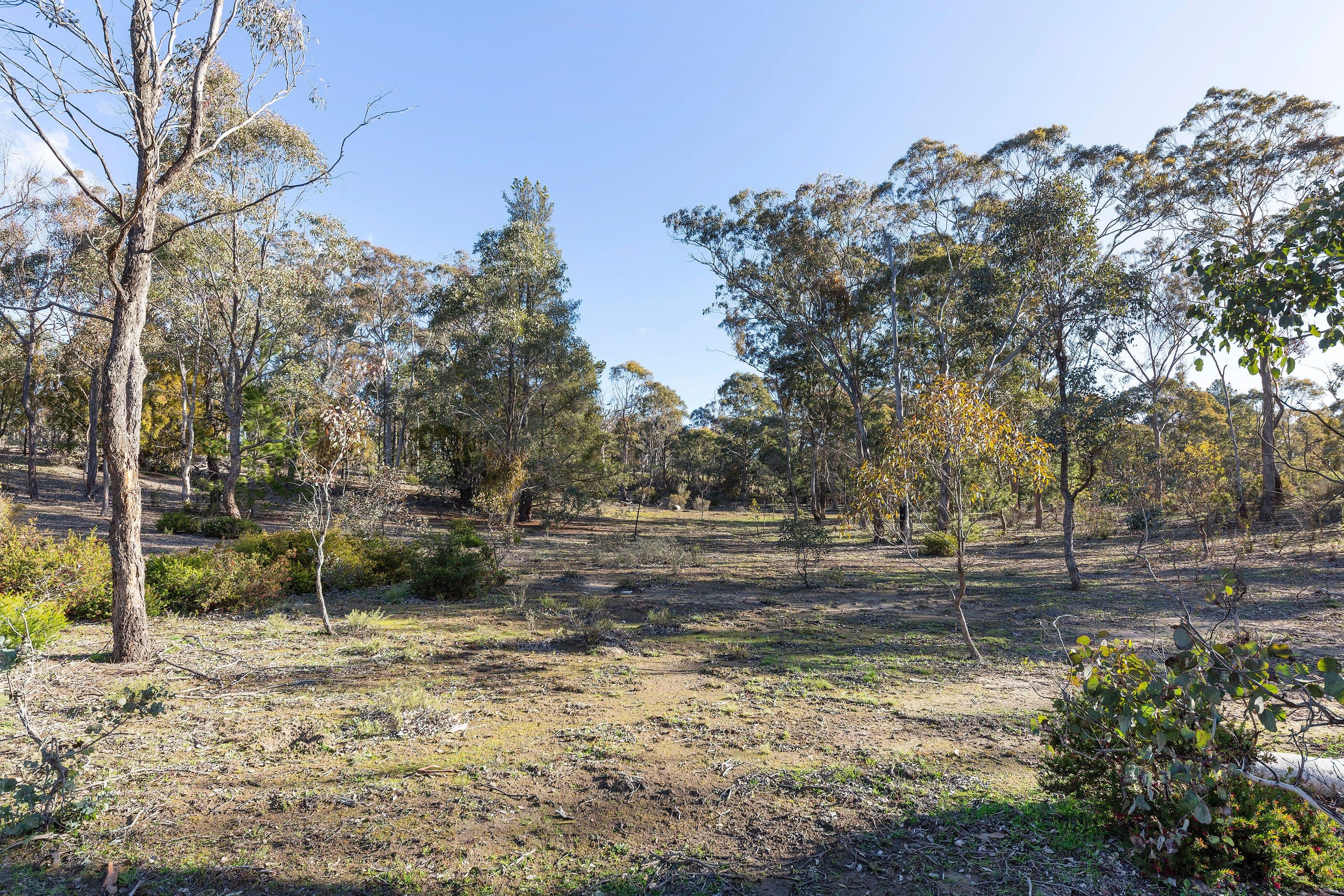 8 Campbell Place, WAMBOIN NSW 2620, Wamboin - Thumbnail 7