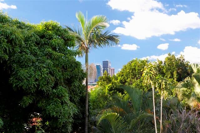 19 Whynot Street, WEST END QLD 4101, West End - Thumbnail 8