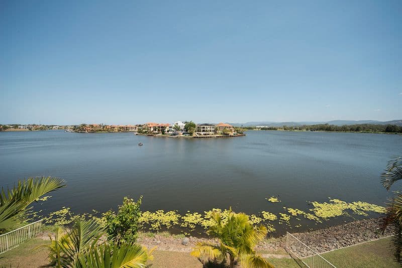 56 Montevideo Drive, CLEAR ISLAND WATERS QLD 4226, Clear Island Waters - Thumbnail 4