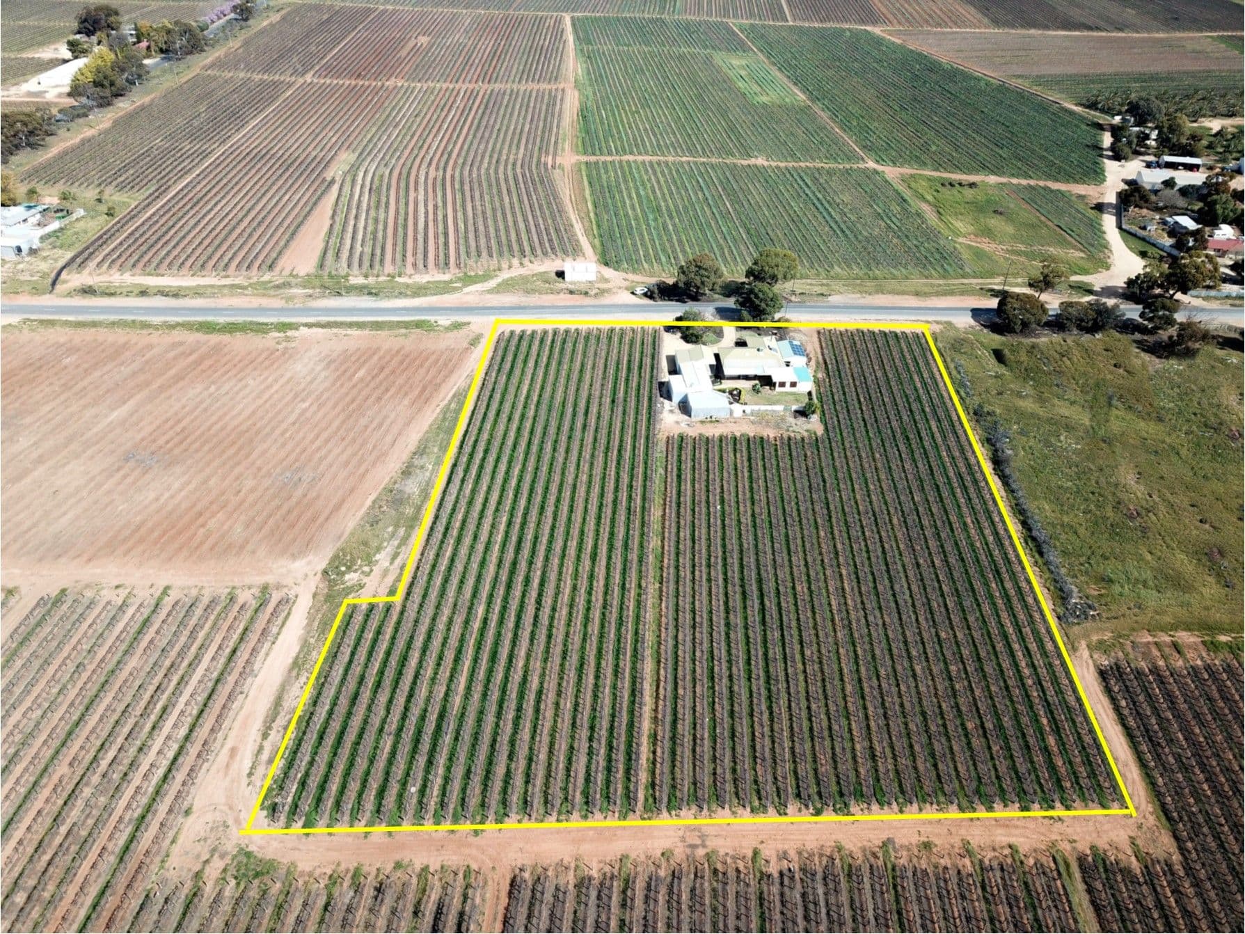 262 Balfour Ogilvy Avenue, Loxton North SA 5333, Loxton North - Thumbnail 2