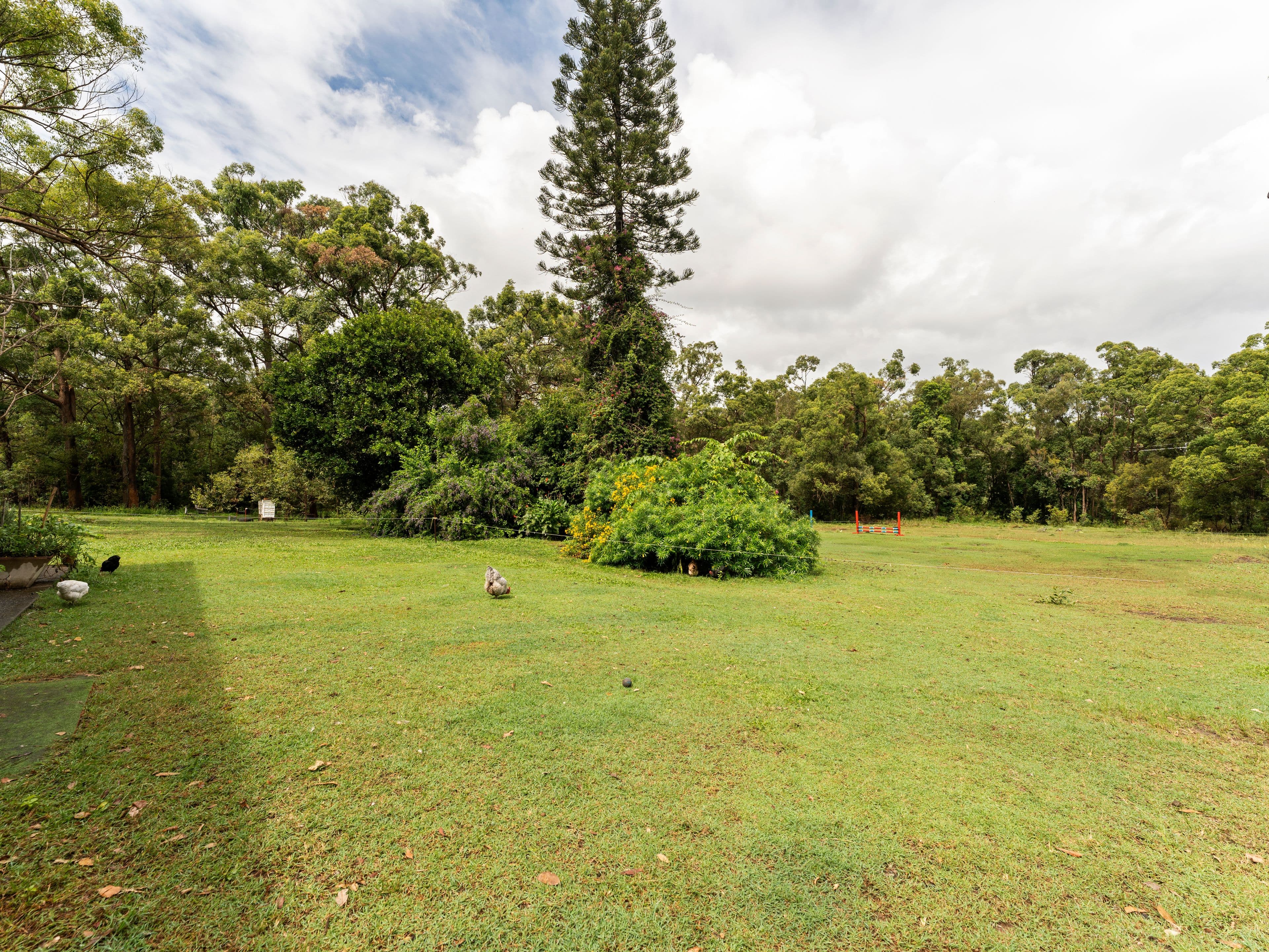 82 Grieve Road, Rochedale QLD 4123, Rochedale - Thumbnail 2