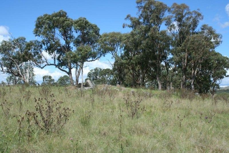 LOT 2 SCHRODERS Road, TENTERFIELD NSW 2372, Tenterfield - Thumbnail 4
