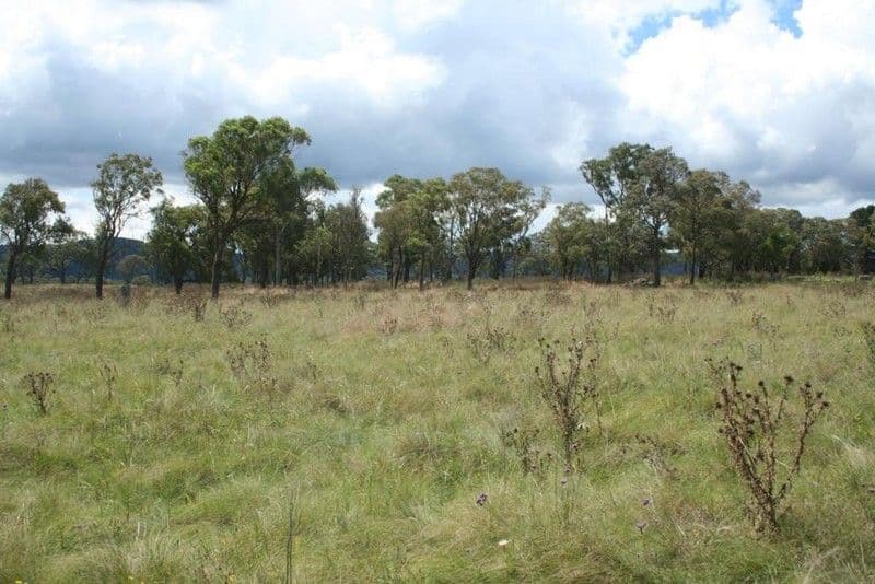 LOT 2 SCHRODERS Road, TENTERFIELD NSW 2372, Tenterfield - Thumbnail 5