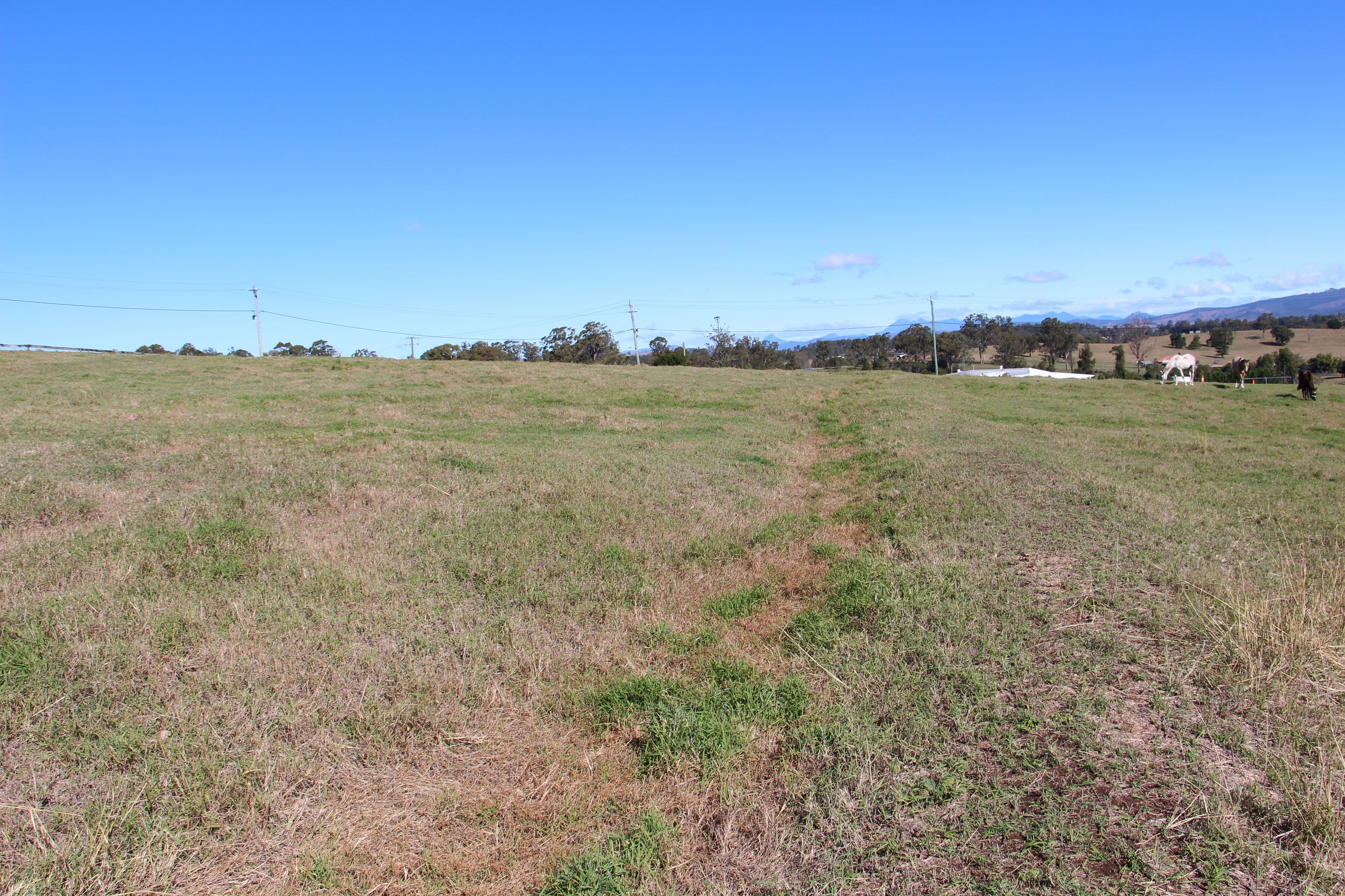 108 Worip Drive, Veresdale Scrub QLD 4285, Veresdale Scrub - Thumbnail 4