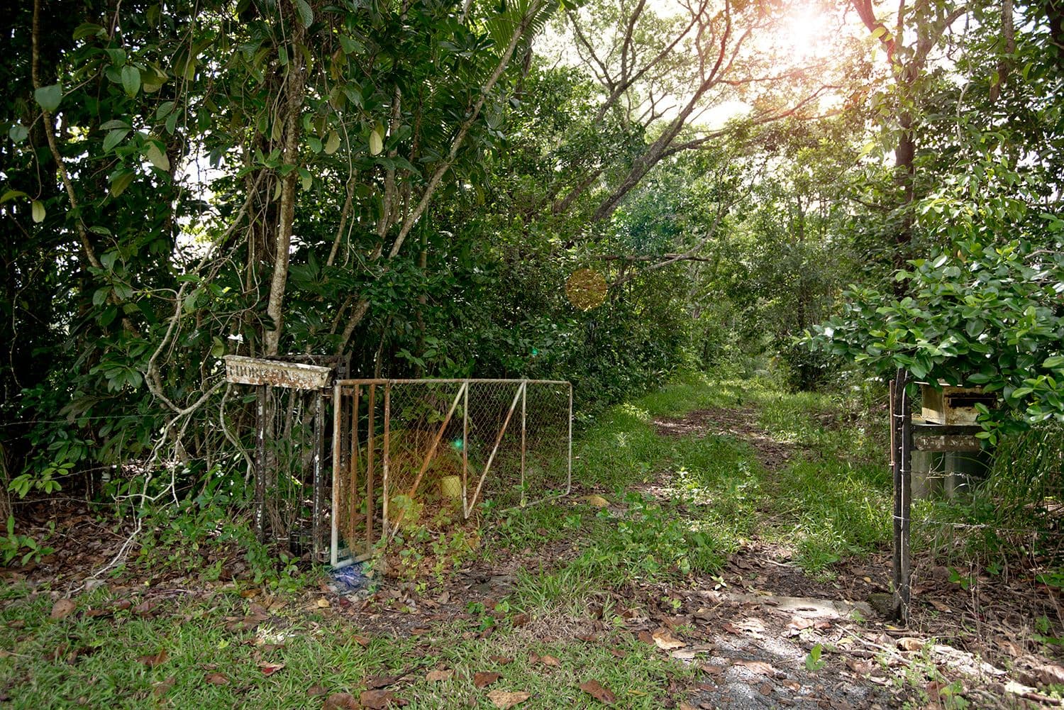 3390 Mossman Daintree Road, Daintree QLD 4873, Daintree - Image 1