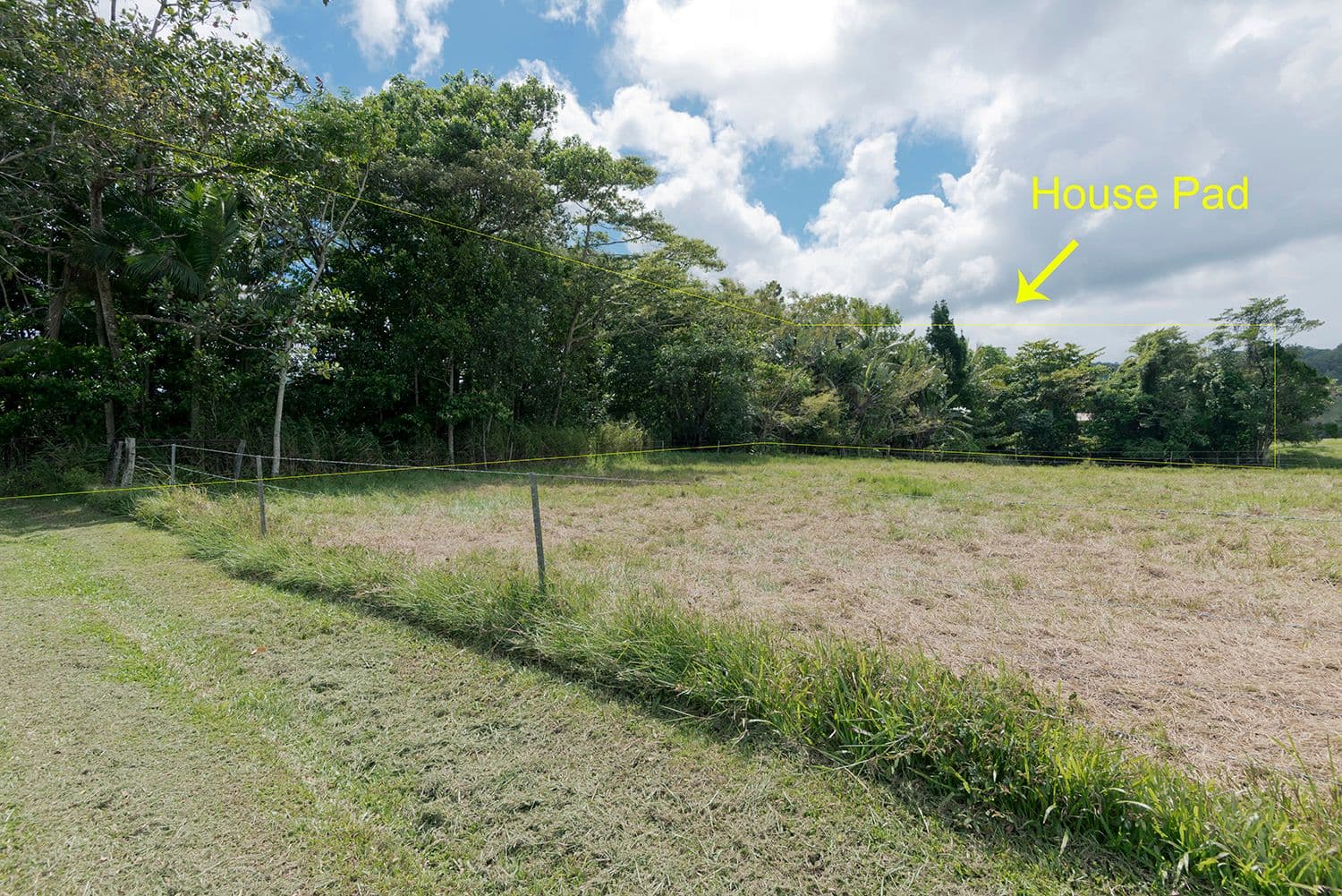 3390 Mossman Daintree Road, Daintree QLD 4873, Daintree - Thumbnail 2