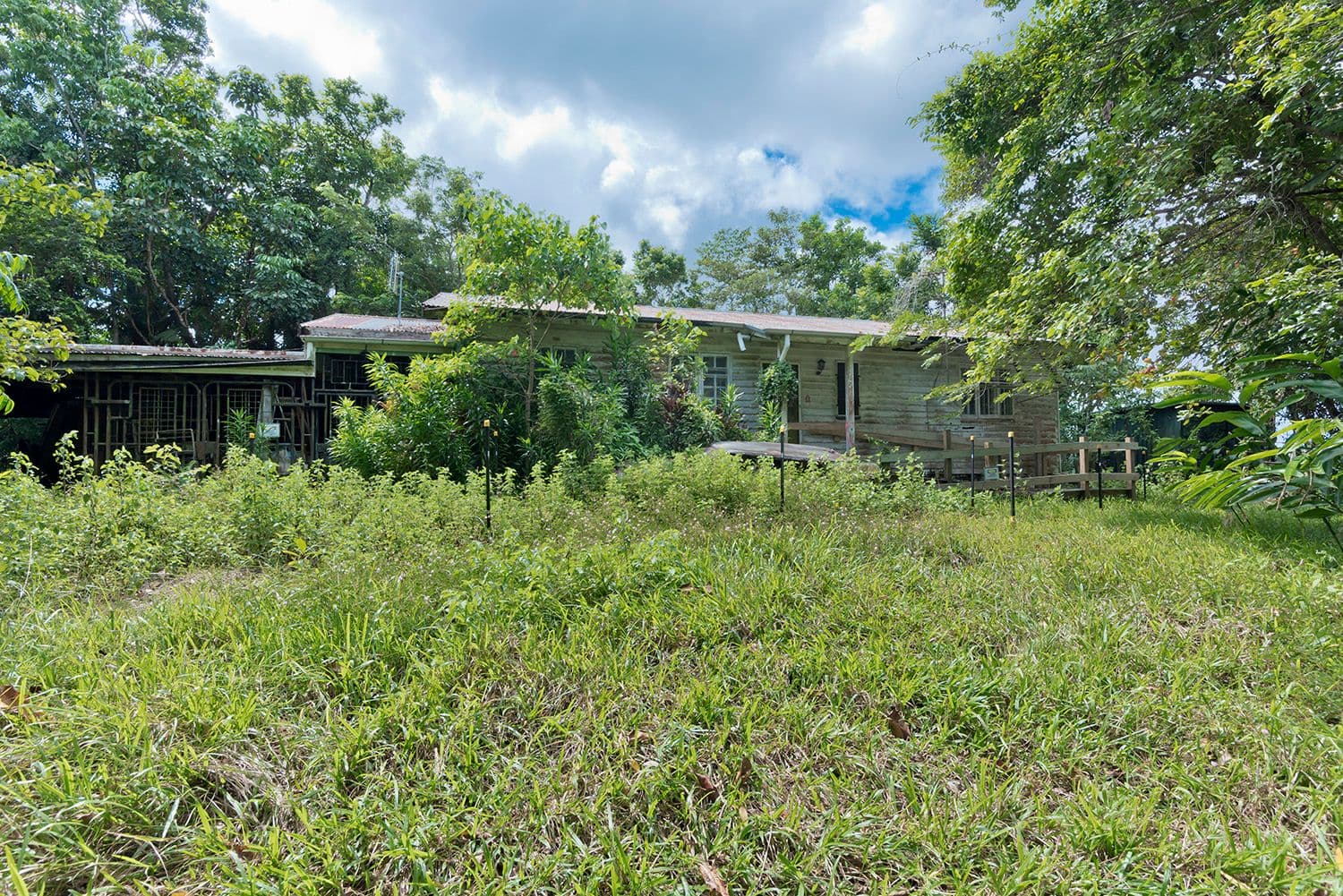 3390 Mossman Daintree Road, Daintree QLD 4873, Daintree - Thumbnail 3