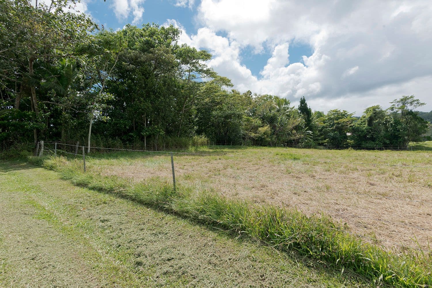 3390 Mossman Daintree Road, Daintree QLD 4873, Daintree - Thumbnail 8