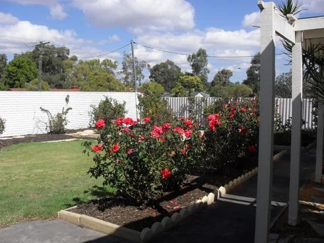 181 Fremantle Road, GOSNELLS WA 6110, Gosnells - Thumbnail 6