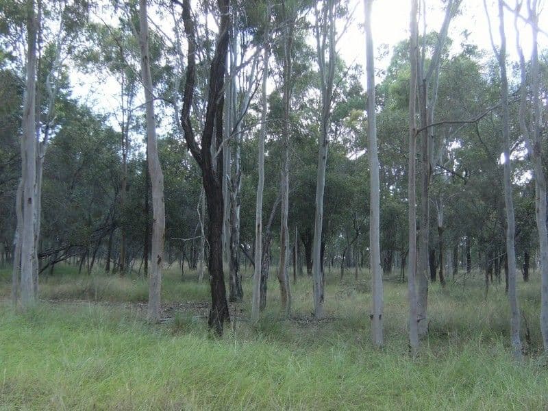 WATTLE CAMP QLD 4615, Wattle Camp - Thumbnail 2