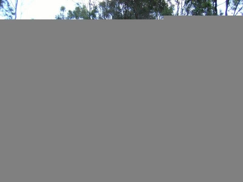 WATTLE CAMP QLD 4615, Wattle Camp - Thumbnail 3