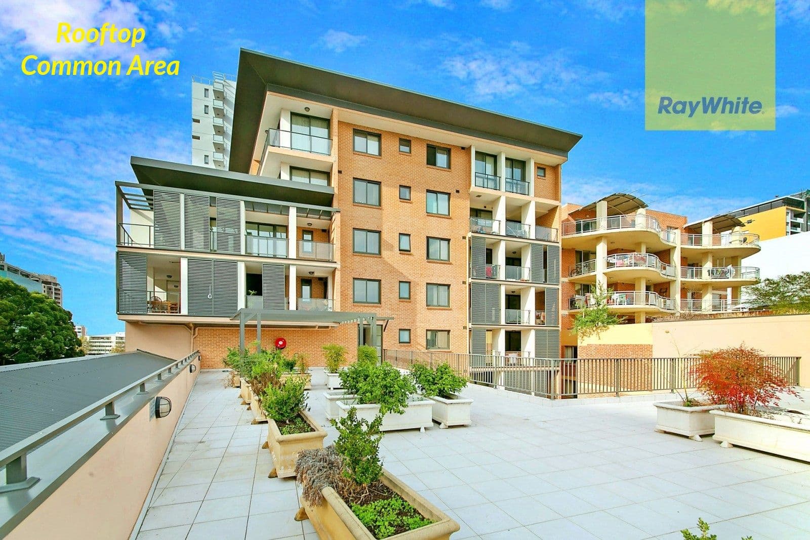 39 Cowper Street, Parramatta NSW 2150, Parramatta - Thumbnail 8
