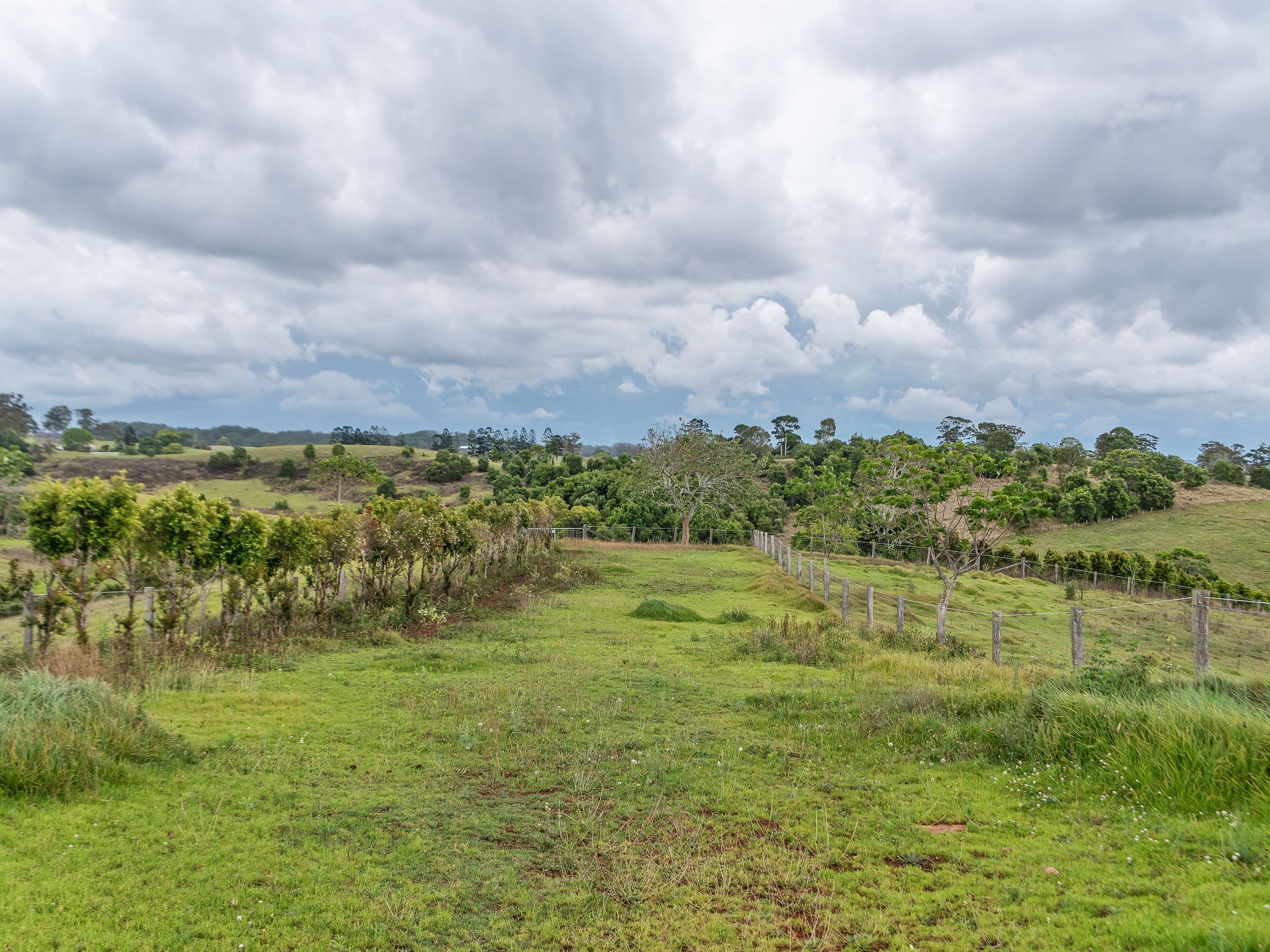 1290 Mount Mee Road, Mount Mee QLD 4521, Mount Mee - Thumbnail 3