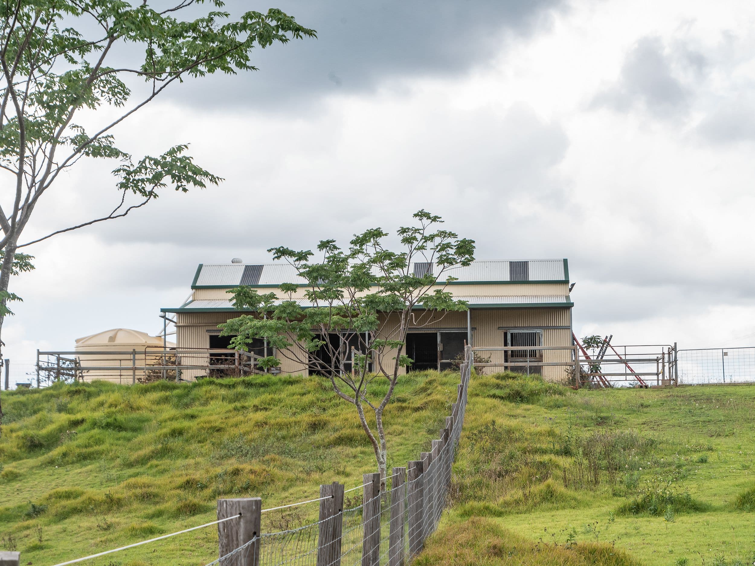 1290 Mount Mee Road, Mount Mee QLD 4521, Mount Mee - Thumbnail 6