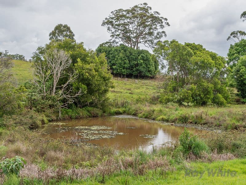 1290 Mount Mee Road, Mount Mee QLD 4521, Mount Mee - Thumbnail 7