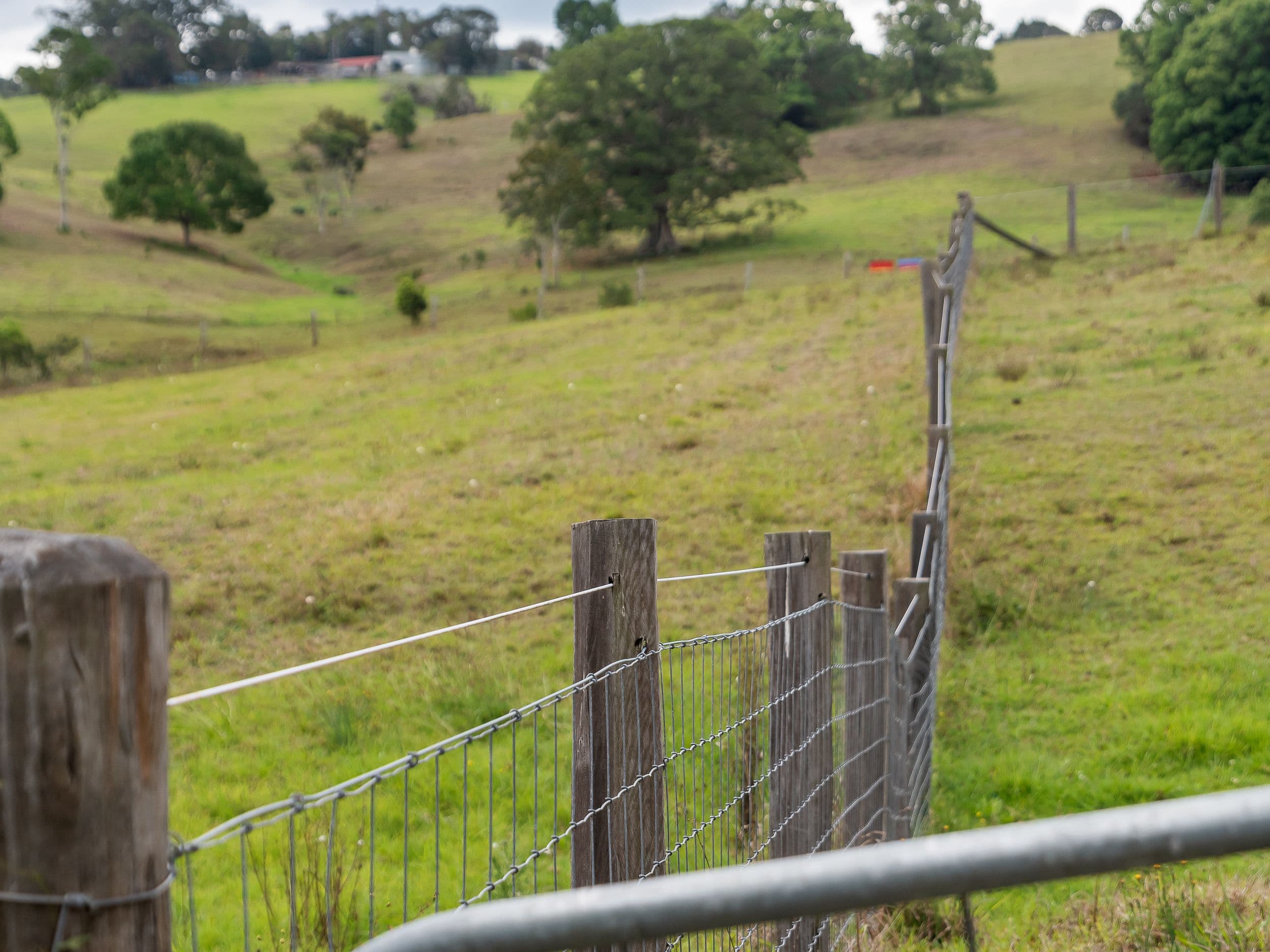1290 Mount Mee Road, Mount Mee QLD 4521, Mount Mee - Thumbnail 8