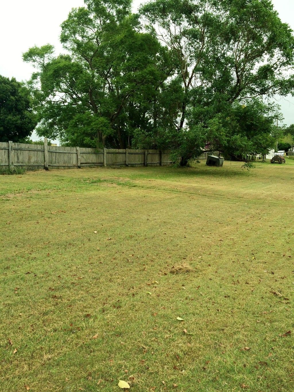 19 Dowling Street, Dungog NSW 2420, Dungog - Thumbnail 4
