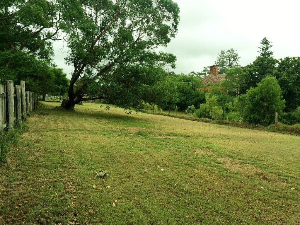 19 Dowling Street, Dungog NSW 2420, Dungog - Thumbnail 5