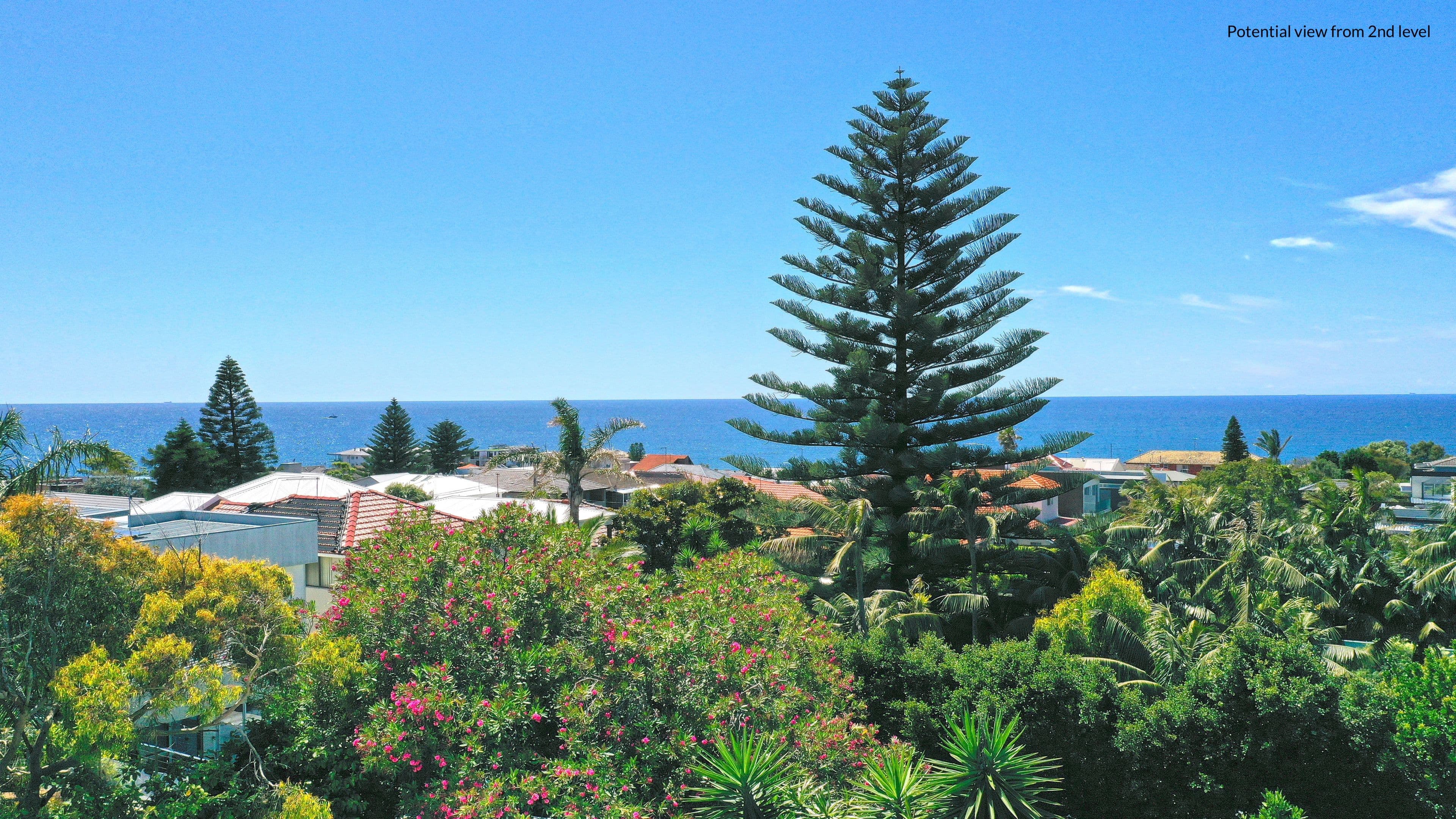 16 Sackville Street, Maroubra NSW 2035, Maroubra - Thumbnail 2