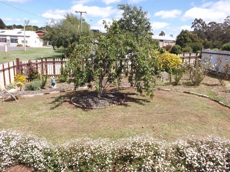 989 Ridgley Highway, RIDGLEY TAS 7321, Ridgley - Thumbnail 4