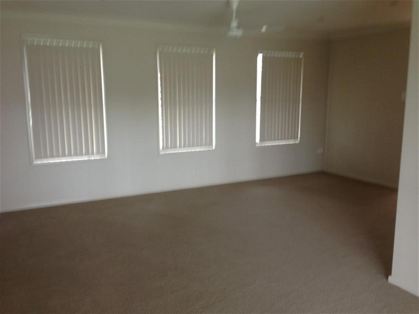 3 Maree Crescent, Gracemere QLD 4702, Gracemere - Thumbnail 8