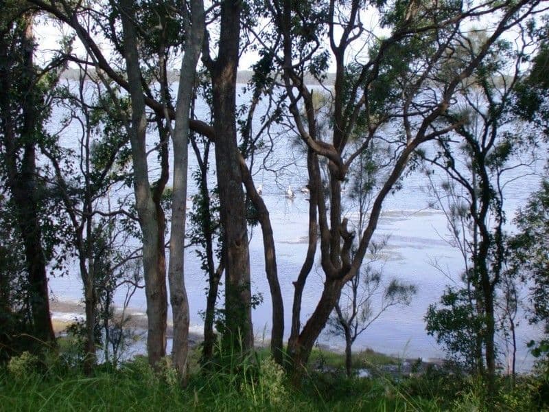 6 George Street, Hunters Hill - Thumbnail 2