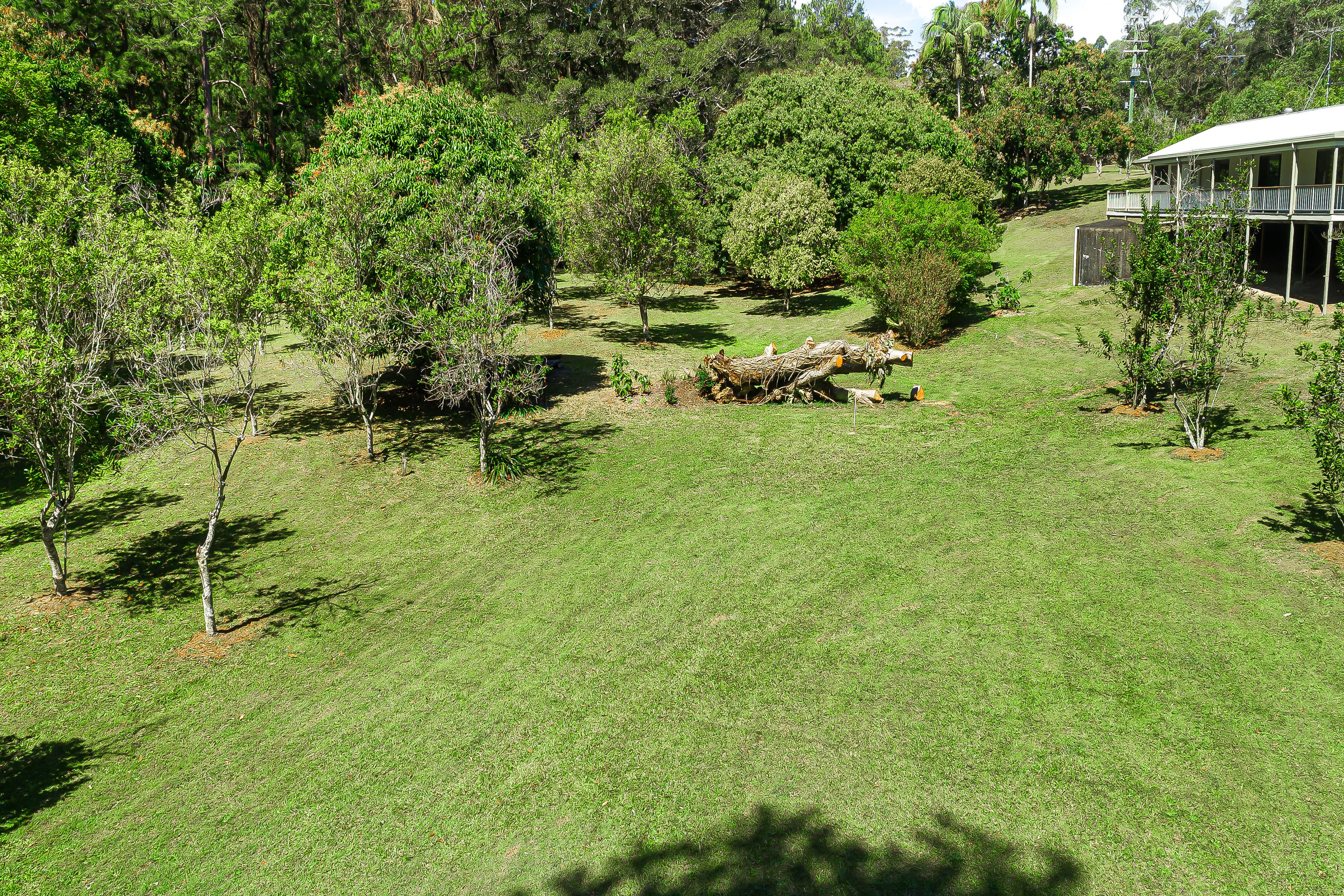 61 Gallaghers Road, Tanawha QLD 4556, Tanawha - Thumbnail 4