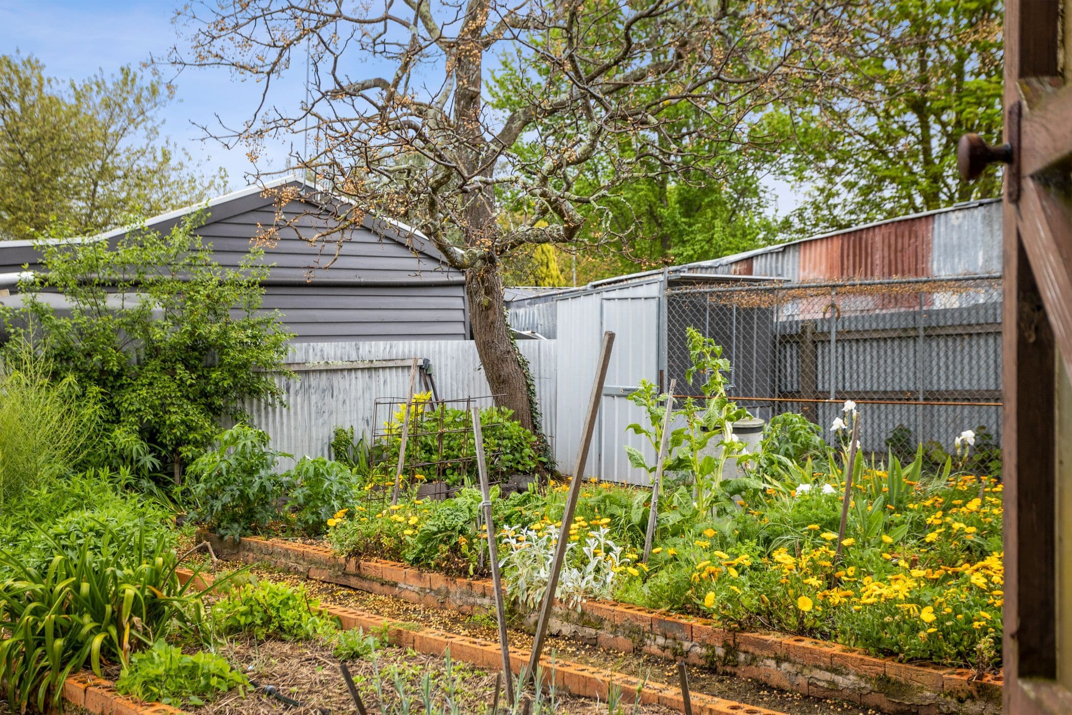 18 Welsh Street, Kyneton VIC 3444, Kyneton - Thumbnail 4