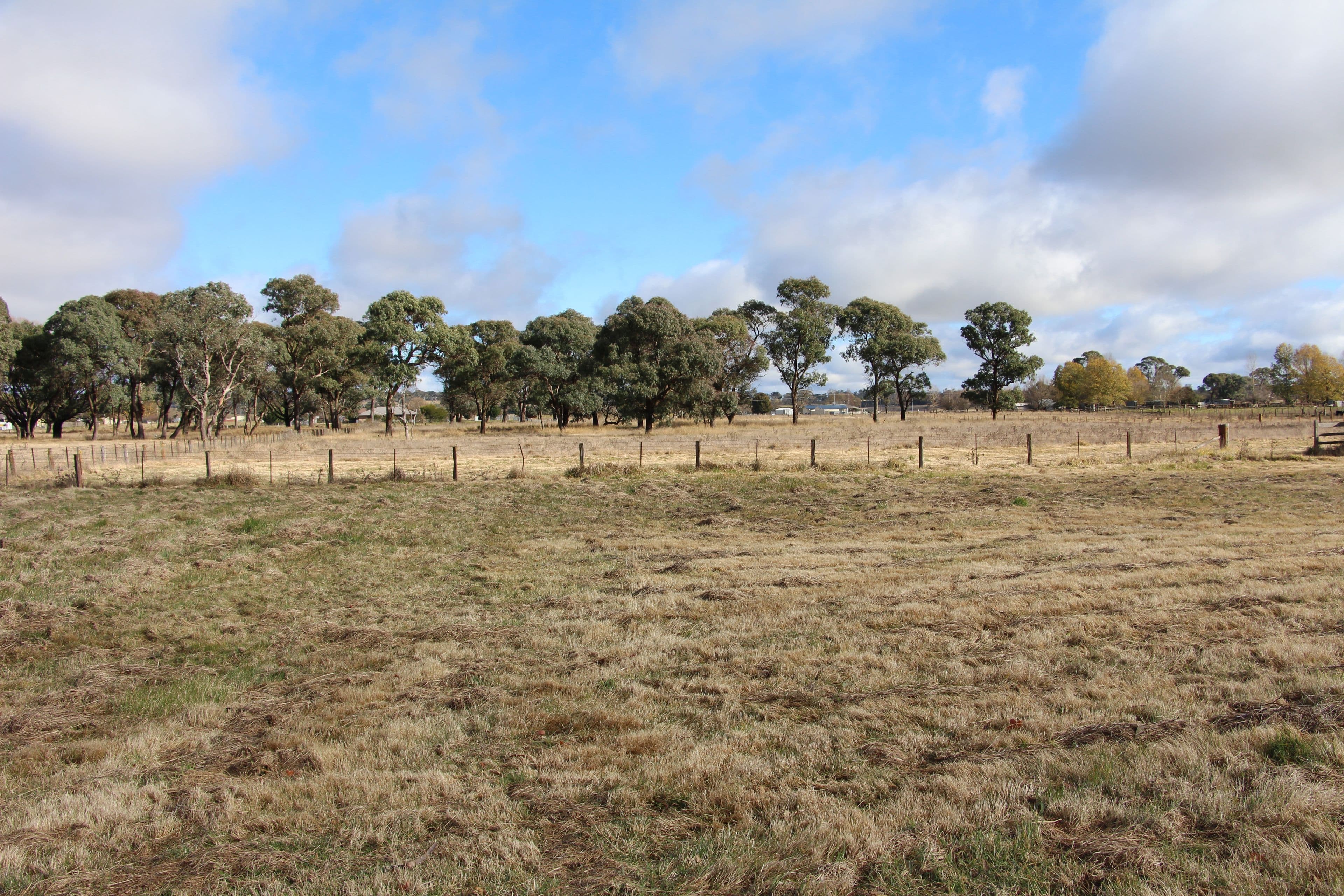 48 Llangothlin Street, Guyra NSW 2365, Guyra - Thumbnail 2
