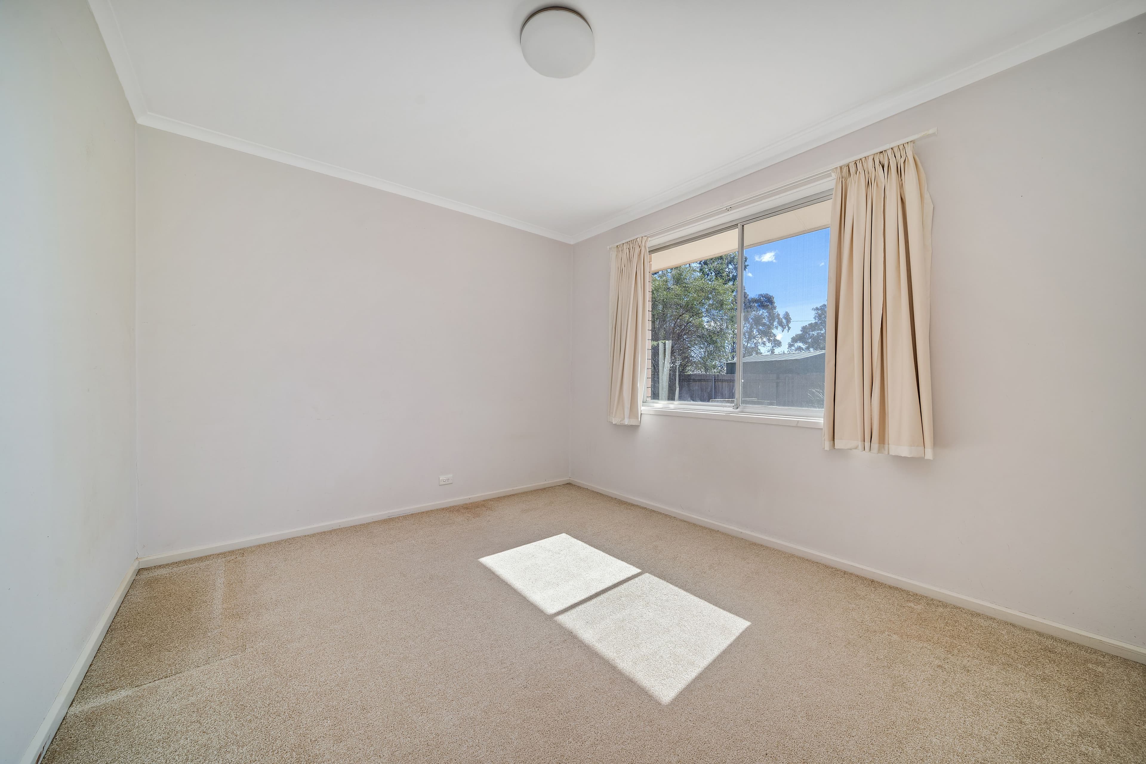 12 Southwell Street, Weetangera ACT 2614, Weetangera - Thumbnail 7